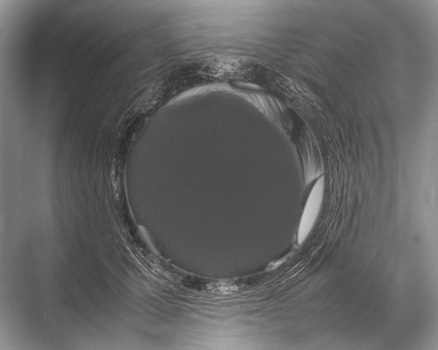 X0000067870607200605041809