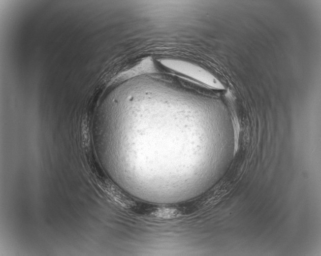 X0000067870609200605041809