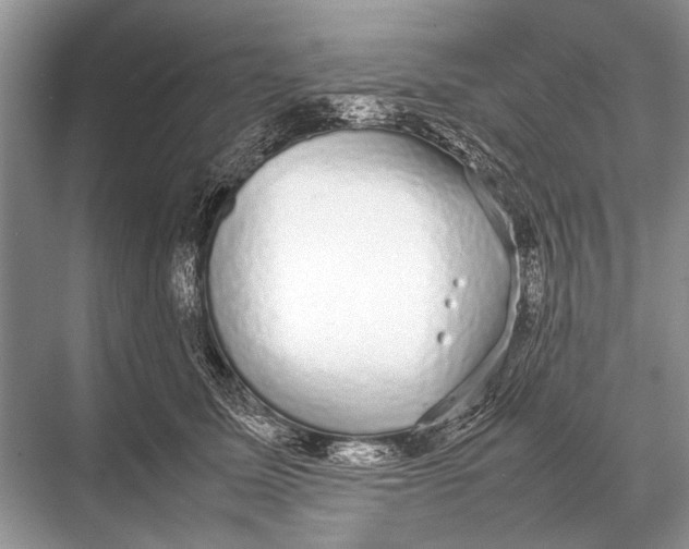 X0000067870611200605041809