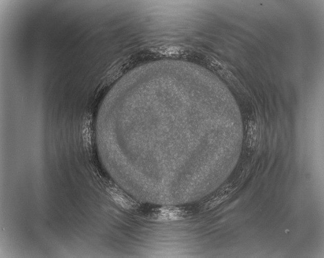 X0000067870612200605041809