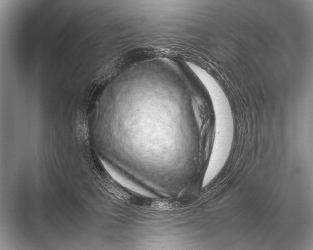 X0000067870613200605041809