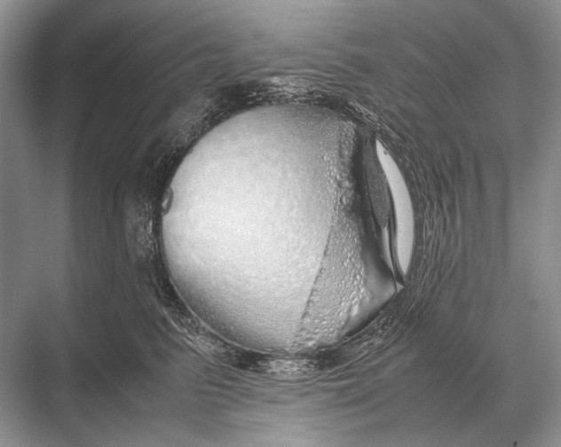 X0000067870615200605041809