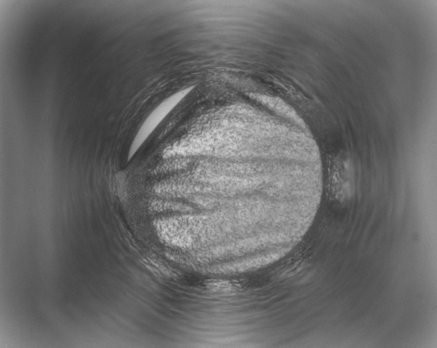 X0000067870616200605041809