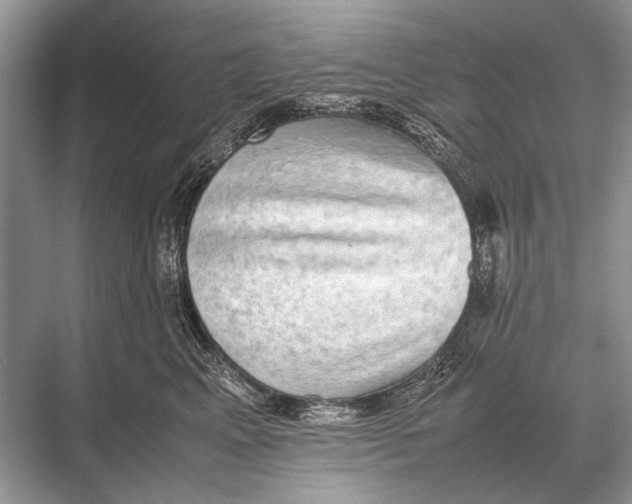 X0000067870617200605041809