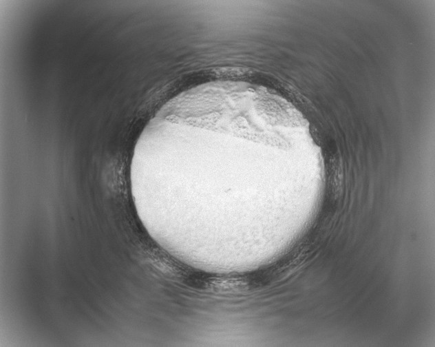 X0000067870619200605041809