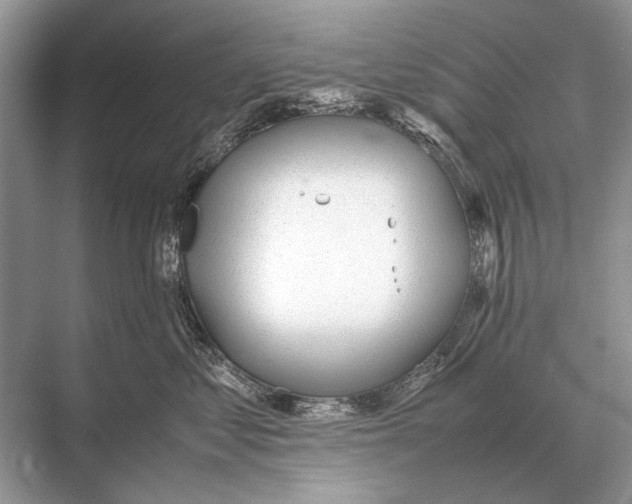 X0000067870621200605041809