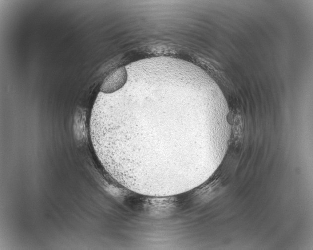 X0000067870622200605041809