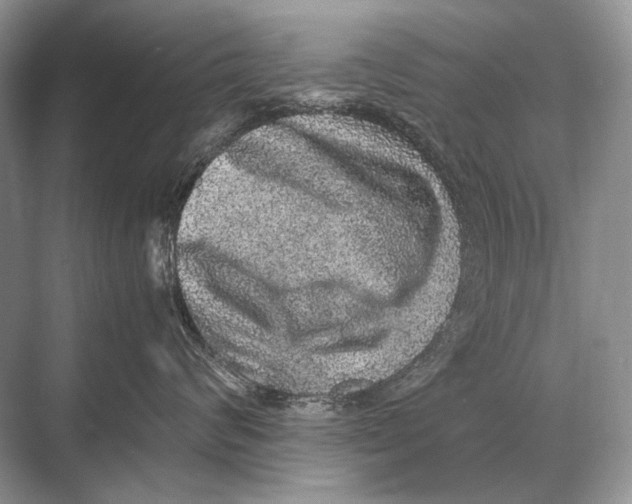 X0000067870624200605041809