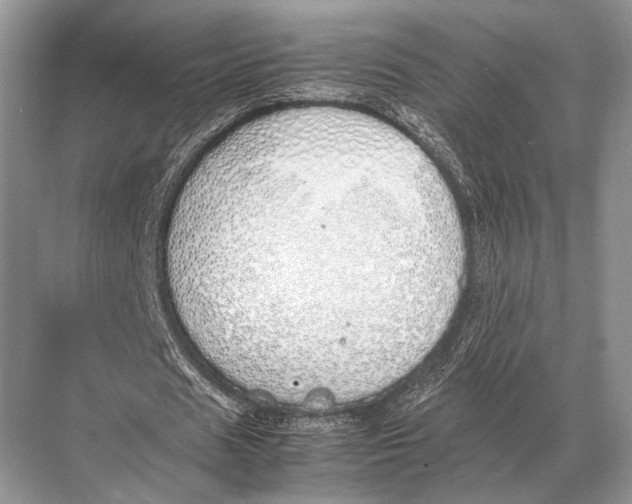 X0000067870625200605041808