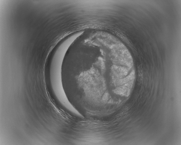 X0000067870626200605041808