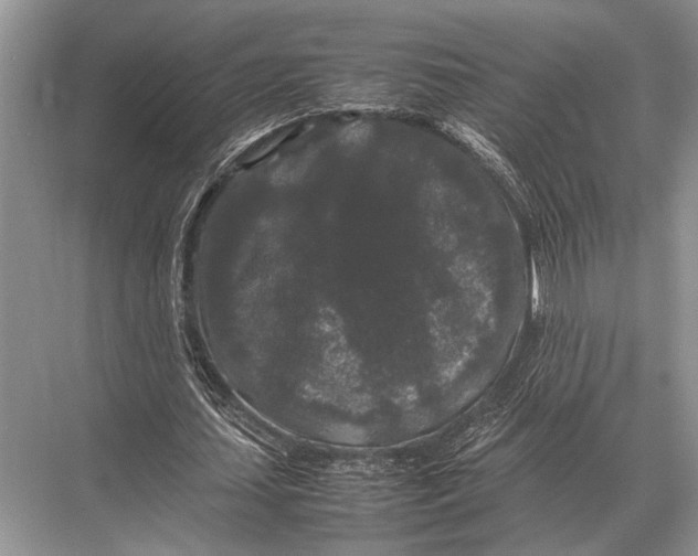 X0000067870627200605041808