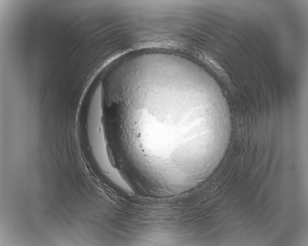 X0000067870628200605041808