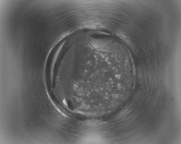 X0000067870630200605041808