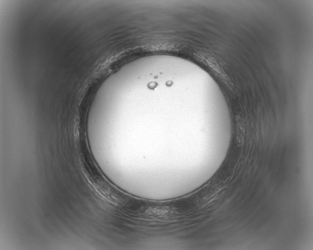 X0000067870631200605041808