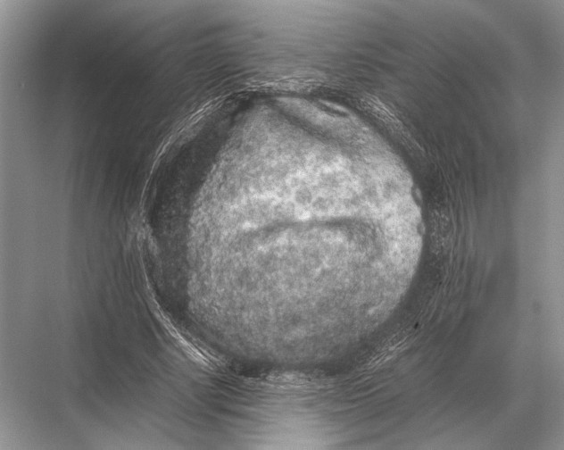 X0000067870634200605041808