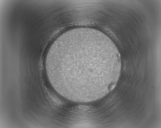 X0000067870636200605041808