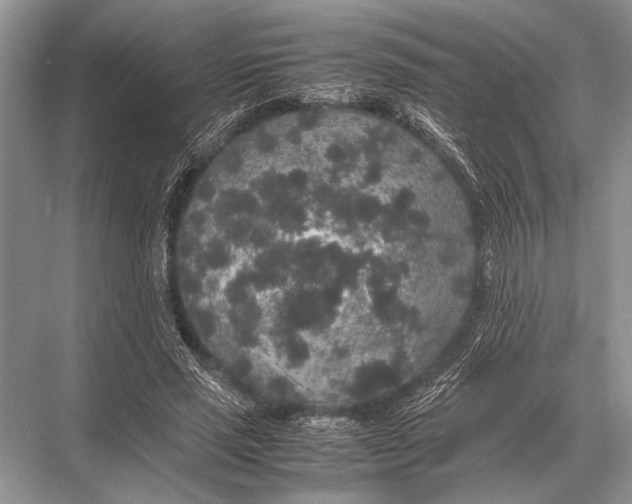 X0000067870637200605041808