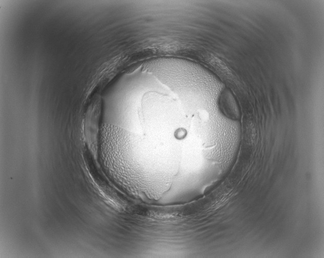 X0000067870638200605041808