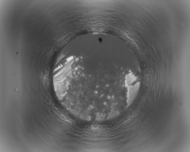 X0000067870641200605041808