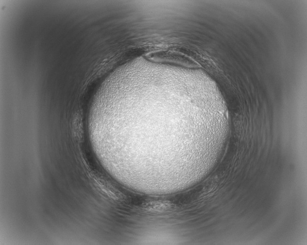 X0000067870642200605041808