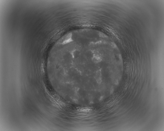 X0000067870643200605041808