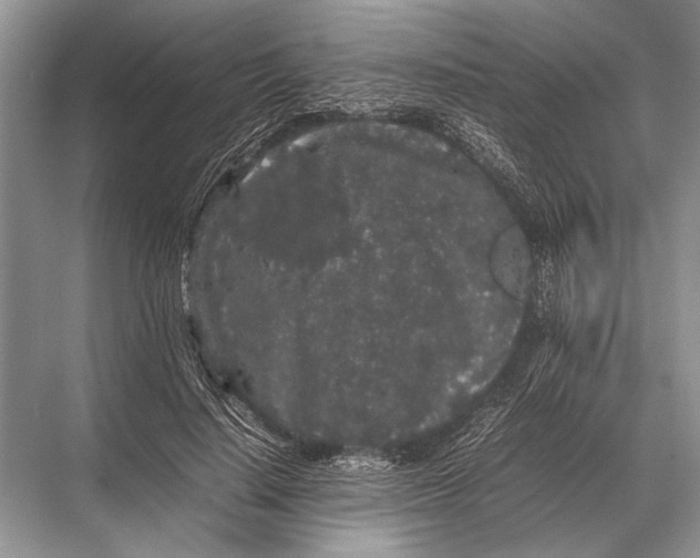 X0000067870644200605041808