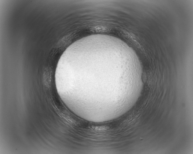 X0000067870645200605041808