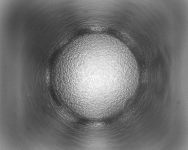 X0000067870646200605041808