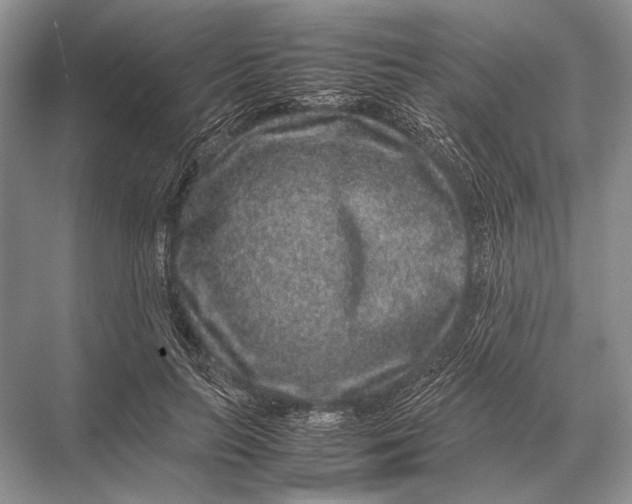 X0000067870647200605041808