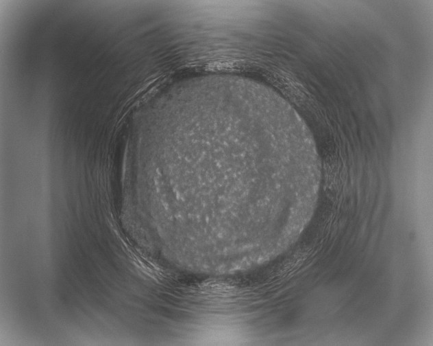 X0000067870648200605041808