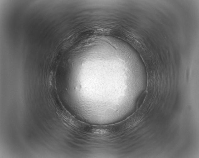 X0000067870649200605041808