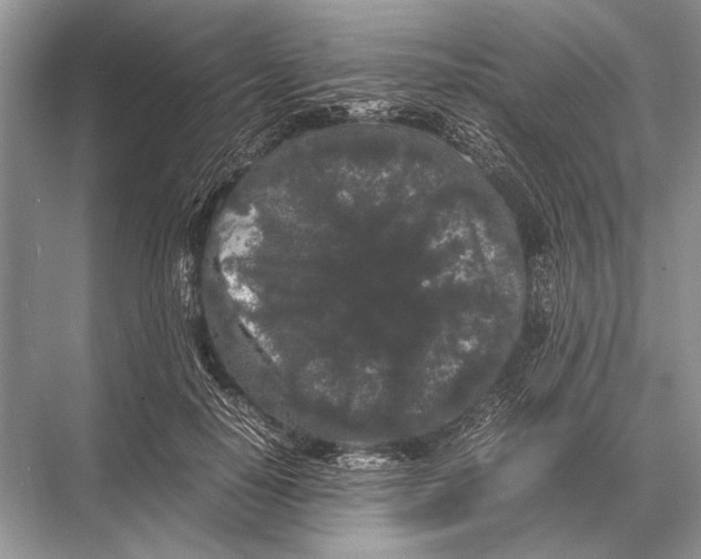 X0000067870650200605041808