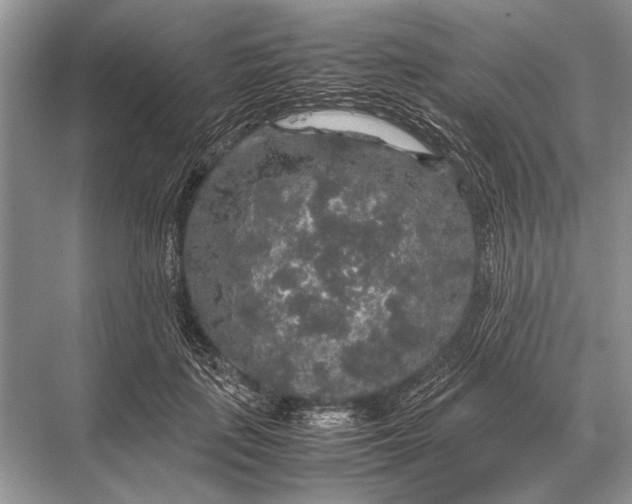 X0000067870651200605041808