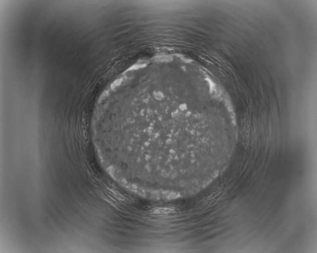 X0000067870653200605041808