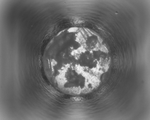 X0000067870654200605041808