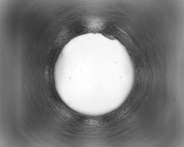 X0000067870655200605041808