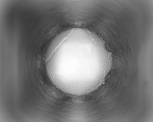 X0000067870656200605041808