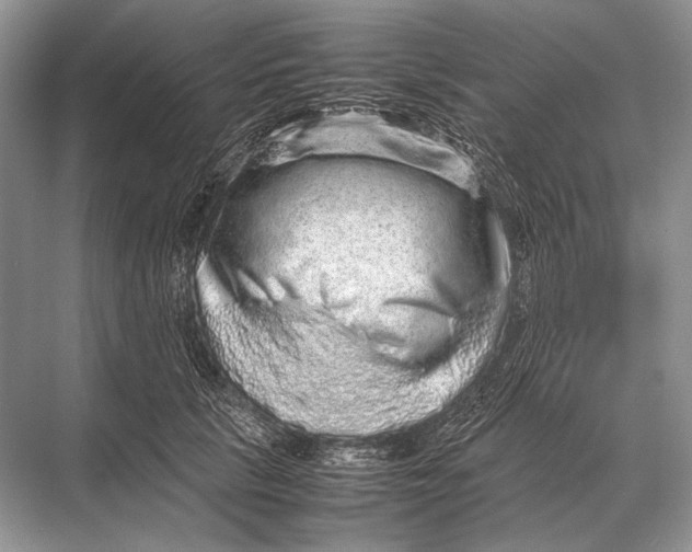 X0000067870657200605041808