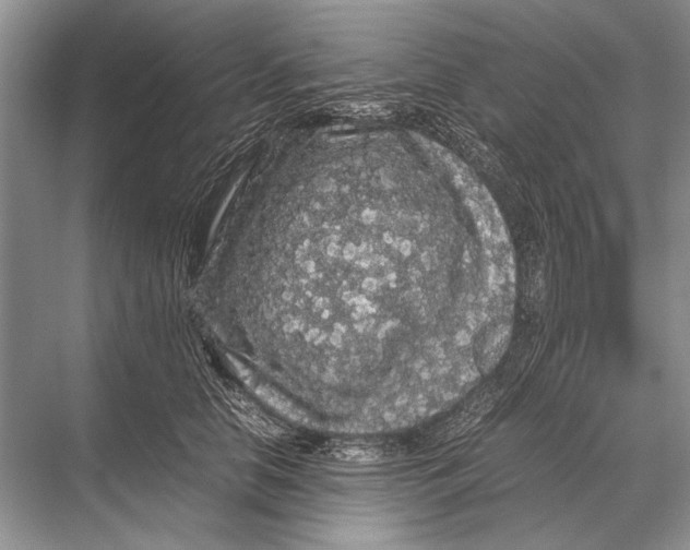 X0000067870658200605041808