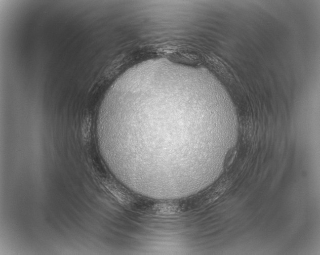 X0000067870660200605041808