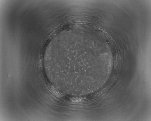 X0000067870661200605041808