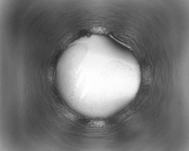 X0000067870665200605041808