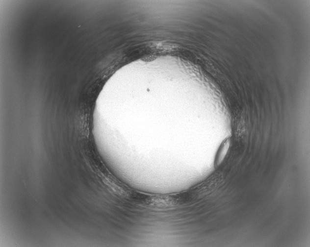 X0000067870666200605041808