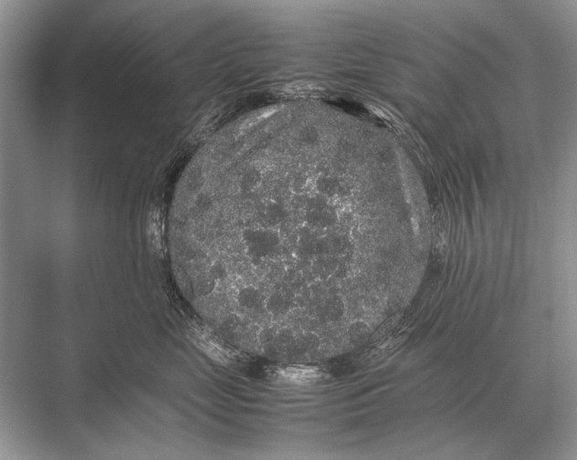 X0000067870669200605041809