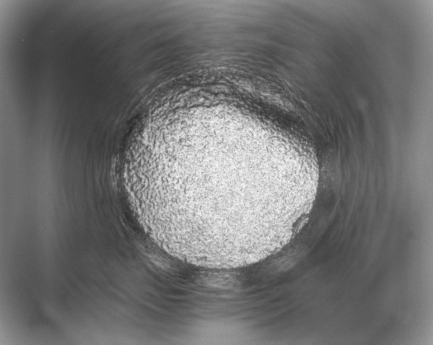 X0000067870671200605041809