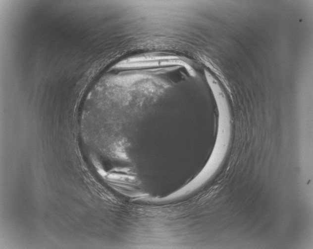 X0000067870673200605041808