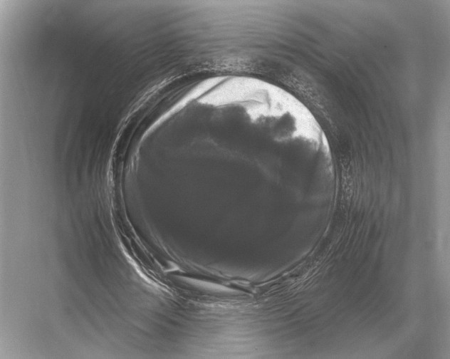 X0000067870674200605041808