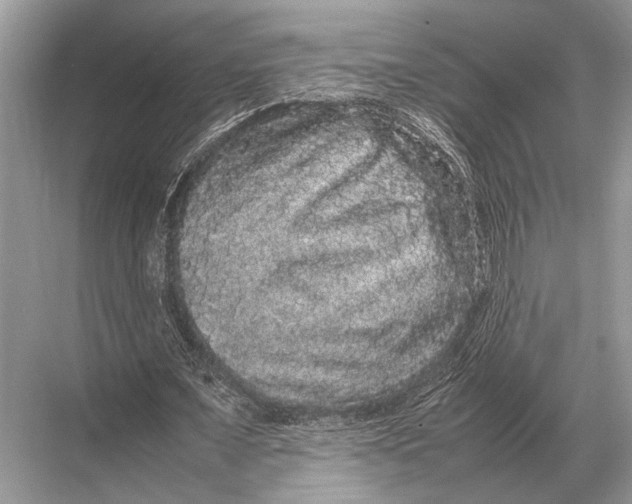 X0000067870675200605041808