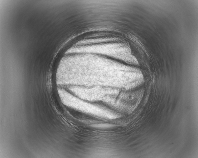 X0000067870676200605041808