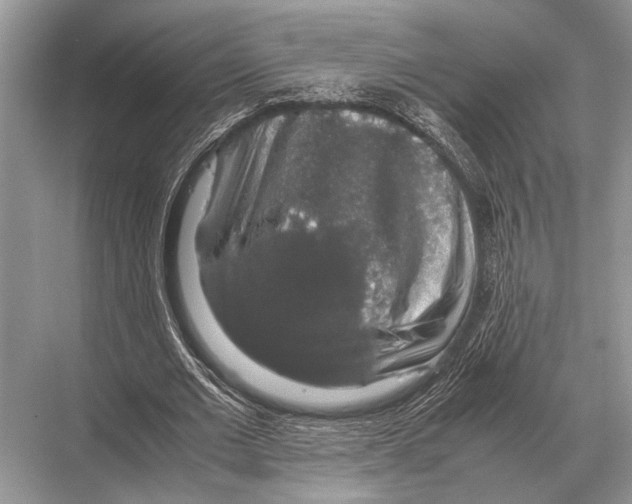 X0000067870677200605041808